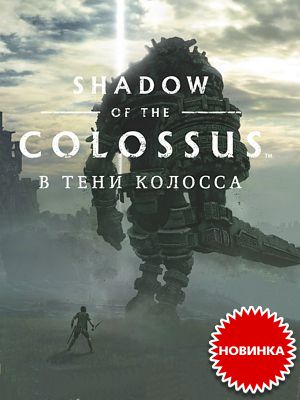 Shadow of the Colossus:     PS4 –   !