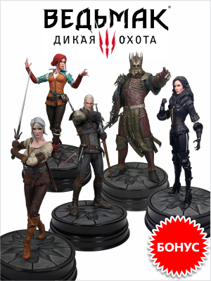   Witcher 3 Wild Hunt –     