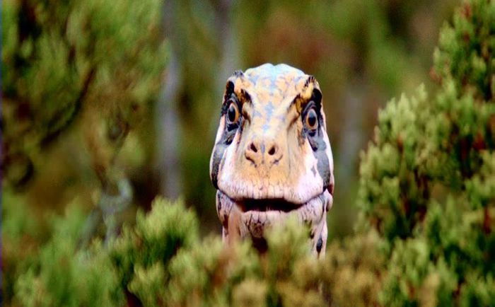 BBC: Прогулки с динозаврами (2 DVD) от 1С Интерес