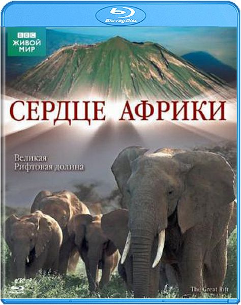 цена BBC: Сердце Африки (Blu-ray)