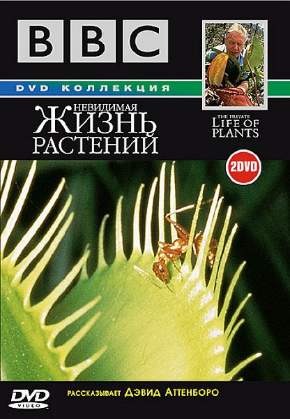 BBC: Невидимая жизнь растений (2 DVD)