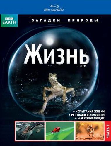 BBC: Жизнь. Часть 1 (Blu-ray)