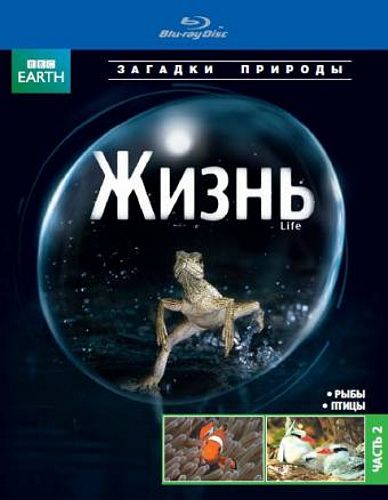 BBC: Жизнь. Часть 2 (Blu-ray)