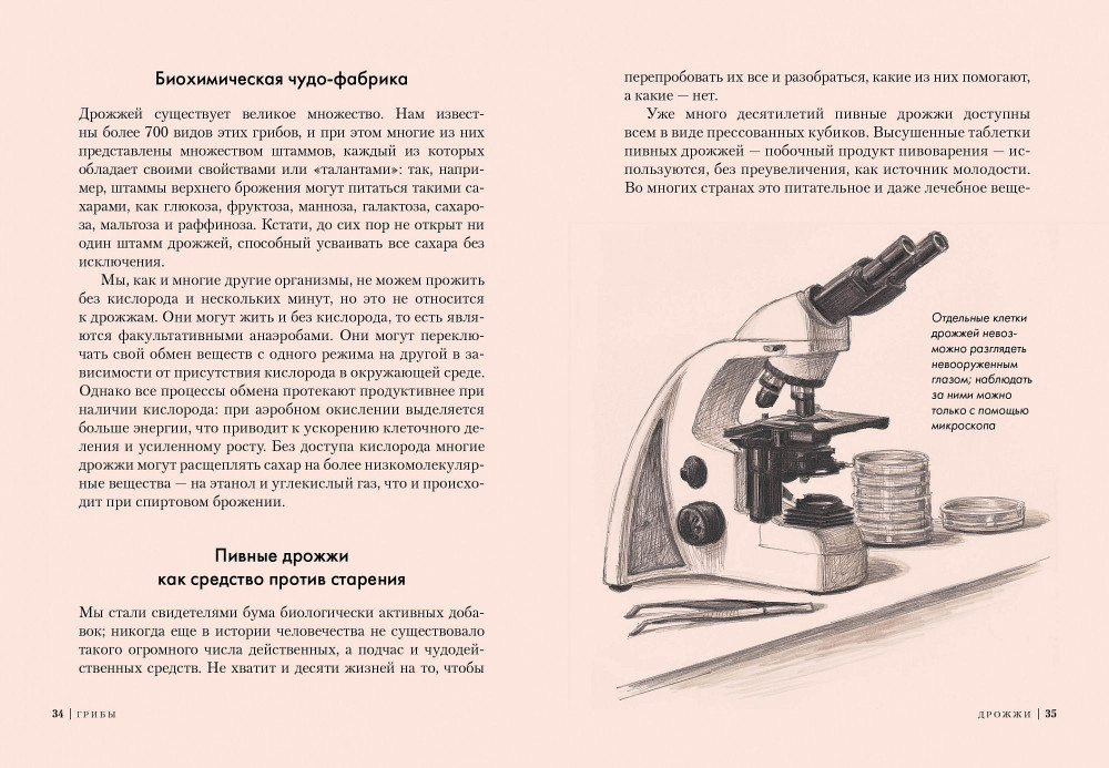 �����: ��������� �������� ����