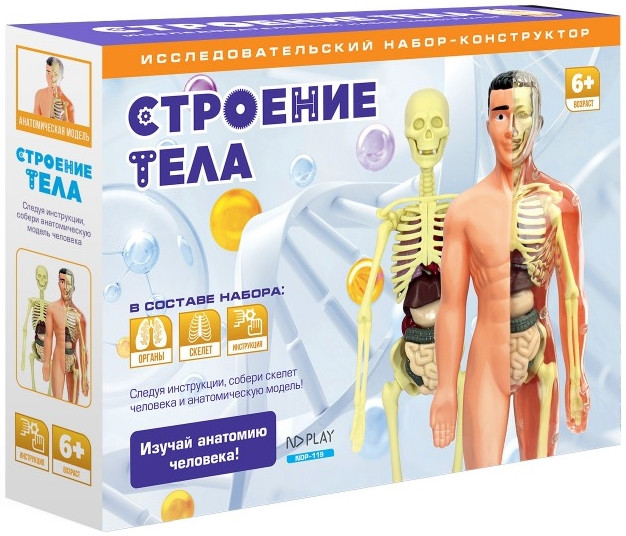 Исследовательский набор-конструктор Строение тела