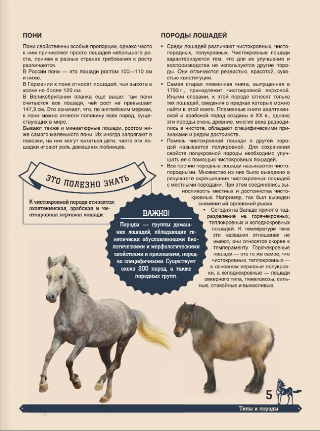 ������� ������������: ������