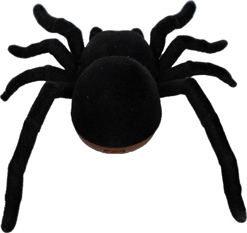 ������� �������� �� ���������� ����������