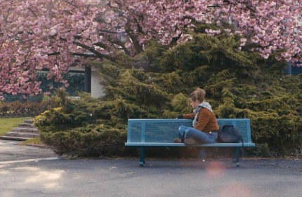   (Blu-ray)