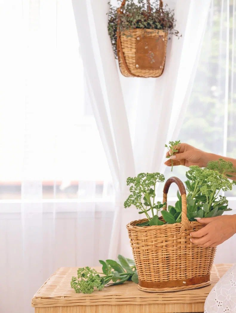 ����� ��� ��������: �� ������� �� ������ � ������ ������������ ����������� �� �������� �� �������� ����