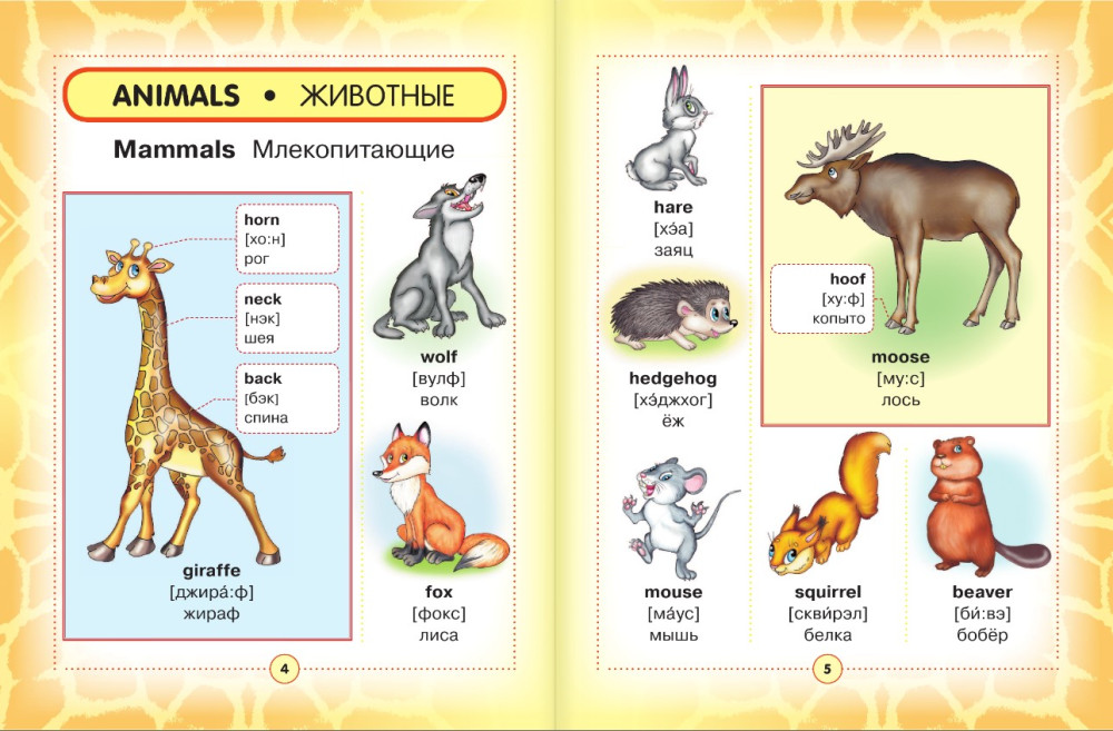 �����-������� ���������� ������� ��� �����