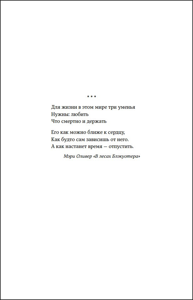 ���� ���� �� ����: ��������, ��������� �������� ���� �� ����������