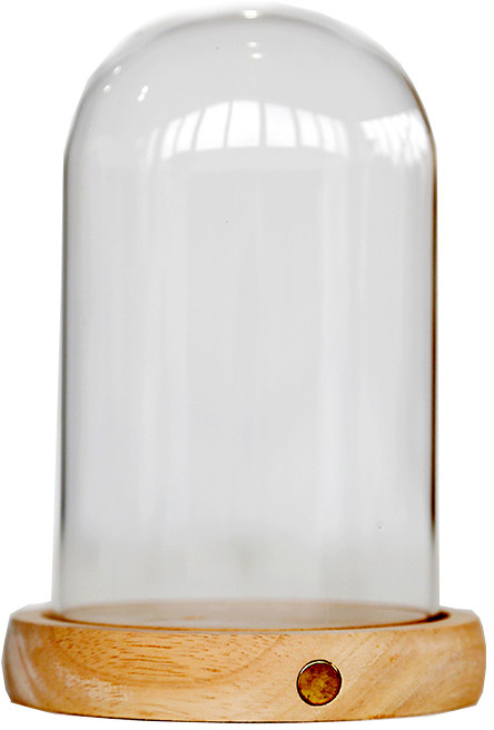 ����������� ������: ��������� ��������. ���������� �����