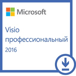 Microsoft Visio Professional 2016.  