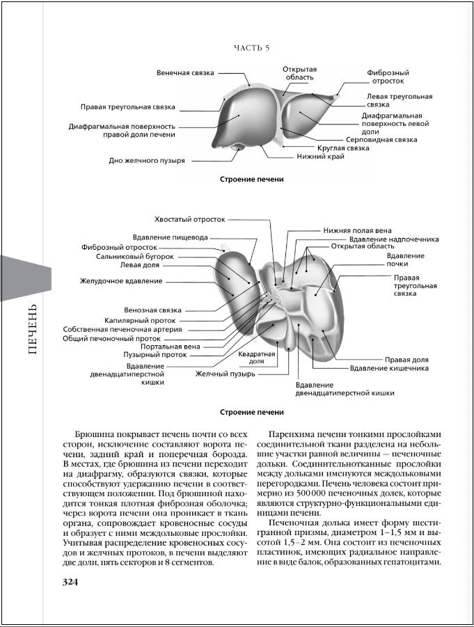������������� �����������������: ����� ������, ������ � ���������