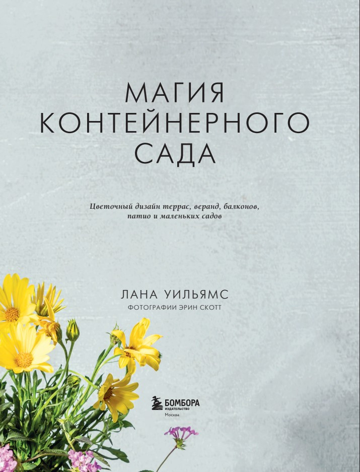 ����� ������������� ����: ��������� ������ ������, ������, ��������, ����� � ��������� �����