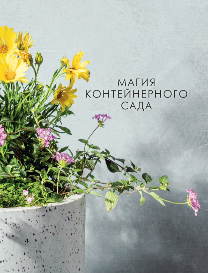 ����� ������������� ����: ��������� ������ ������, ������, ��������, ����� � ��������� �����