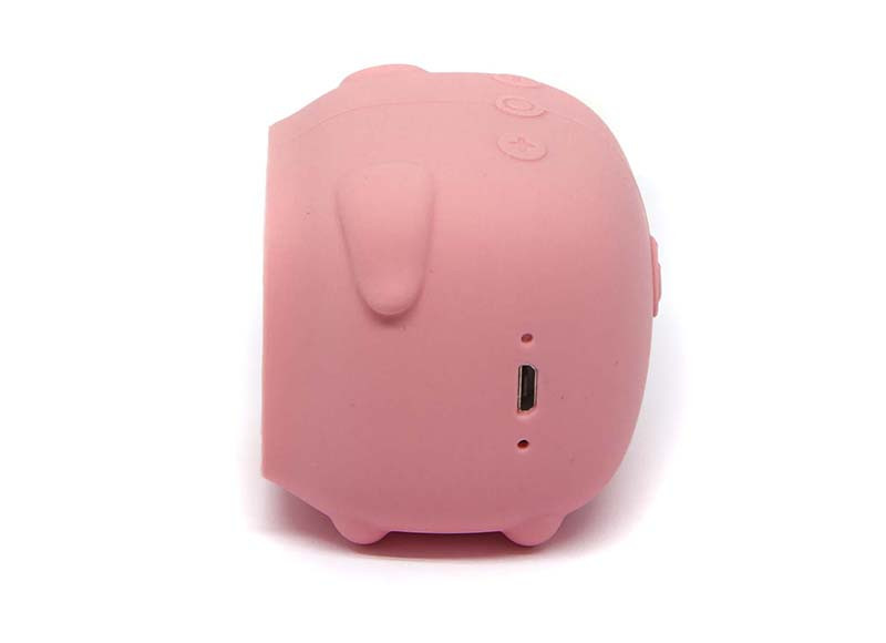   Smarterra Sweet Things PAS-ST100 PIGGY ( )