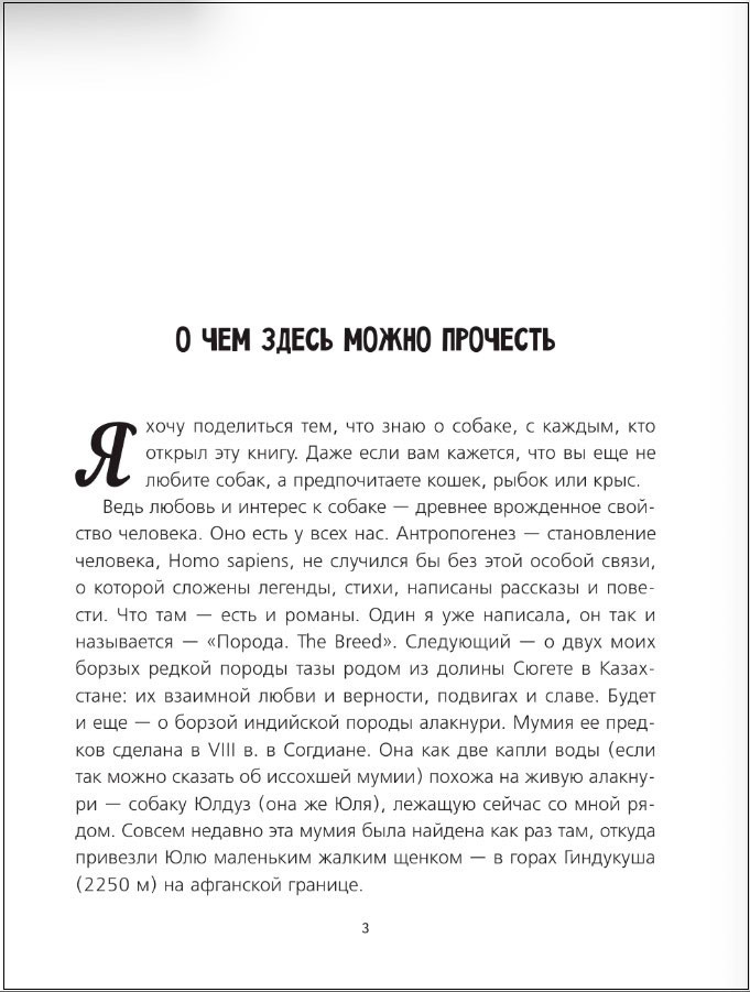 ������ �����: ������������ (������� � ������)