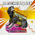 Basement Jaxx  Crazy Itch Radio + Remedy (RU) (2 CD)