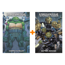 ������ ������������ ���������-������. �� 8-9. �������� ����