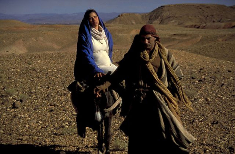 BBC: ���������� �������. ���� �����. ������. ���� ������ (3�DVD)