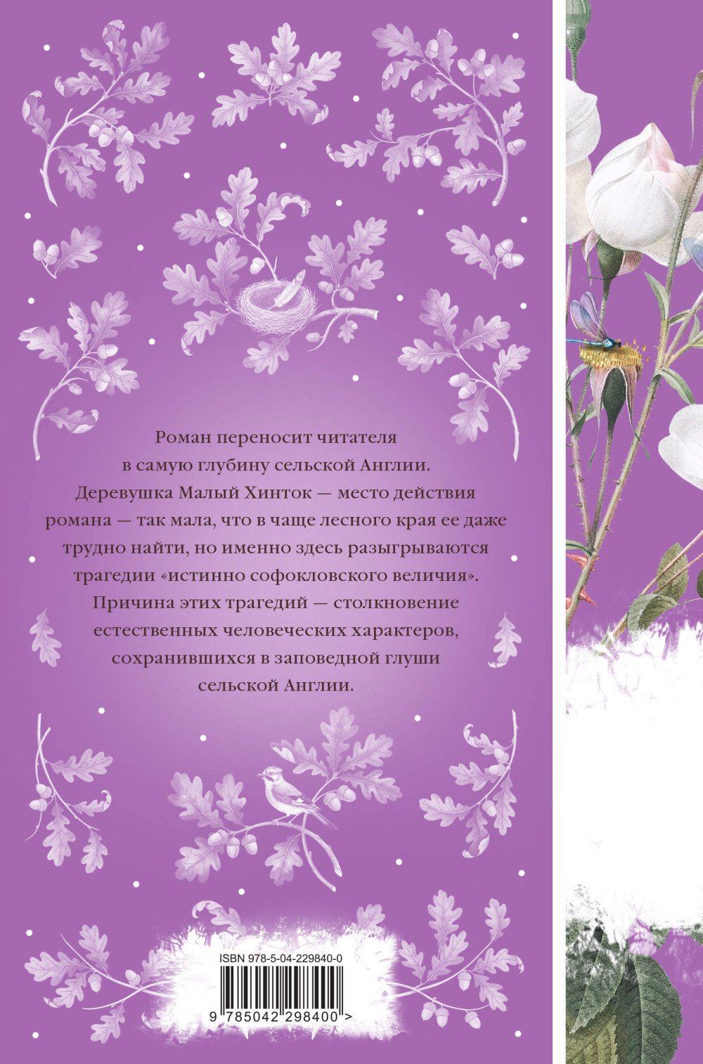 � ���� �����