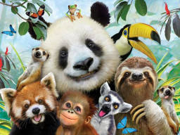Super 3D Puzzle: Зоо селфи – Zoo Selfie (500 элементов)