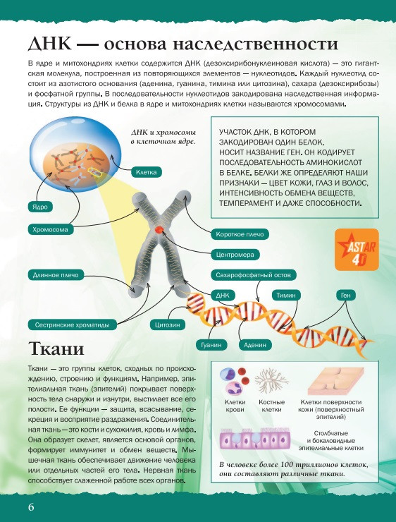 ������� ����� 4D: ���� ��������