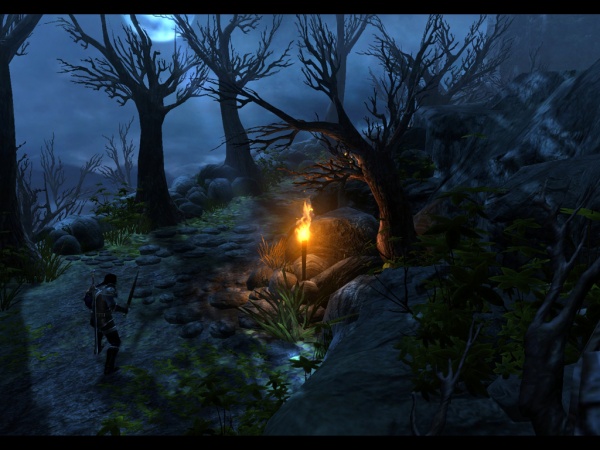 Скриншот из игры Dungeon Siege III