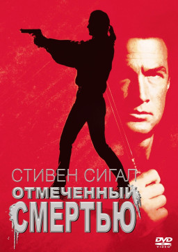   (DVD)