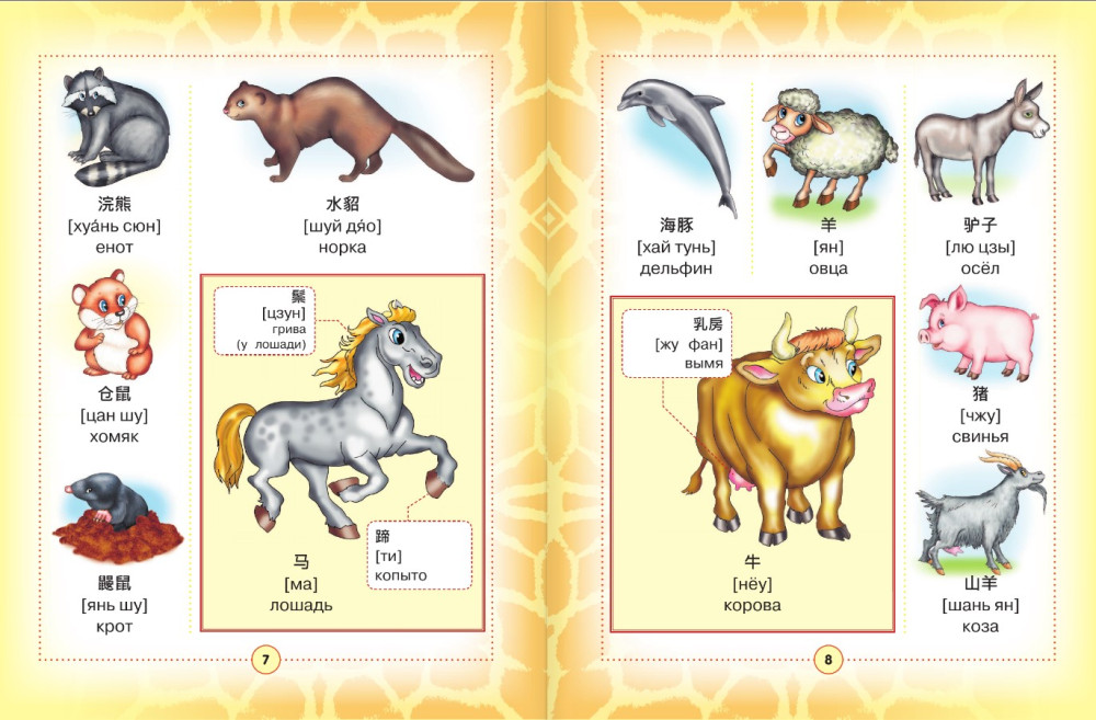 ��������-������� ���������� ������� ��� �����