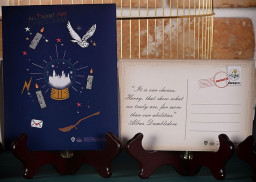 ����� �������� Harry Potter: Yuleball