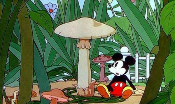 Walt Disney: Микки Маус и его друзья (DVD)