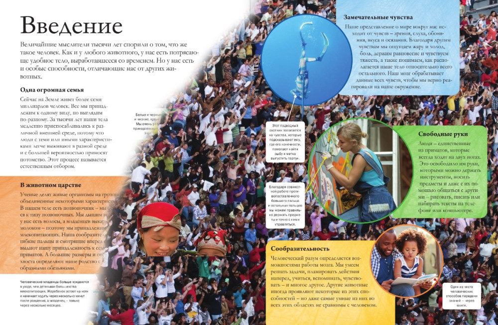 ���� ��������