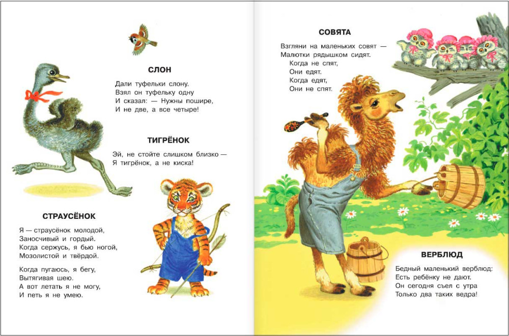 ����� � ������ ��� ����� ���������