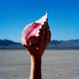 The Killers ‎ Wonderful Wonderful (LP)