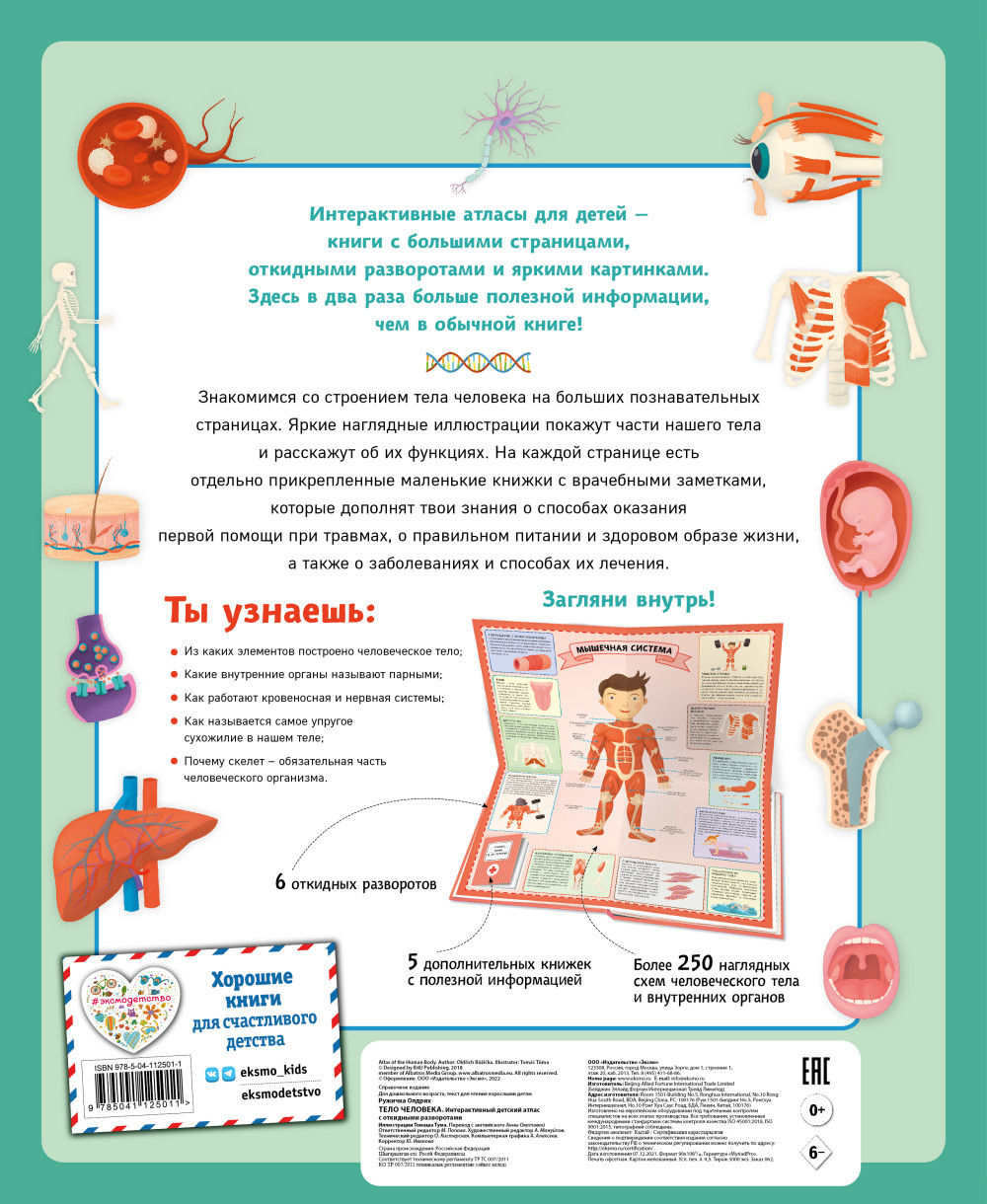 ���� ��������: ������������� ������� ����� � ��������� �����������