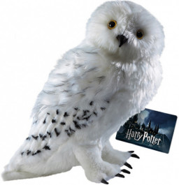 ������ ������� ����� ������: ���� ����� (�������)