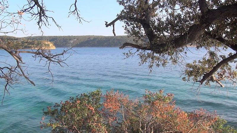  3D.     (Blu-ray 3D + 2D)