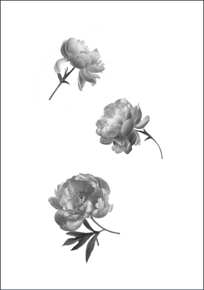 ��� ����� ������