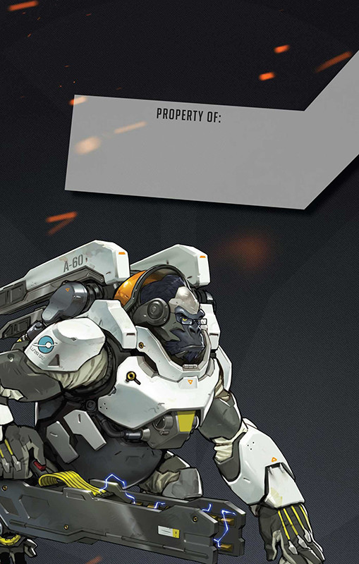 ������� Overwatch: Journal