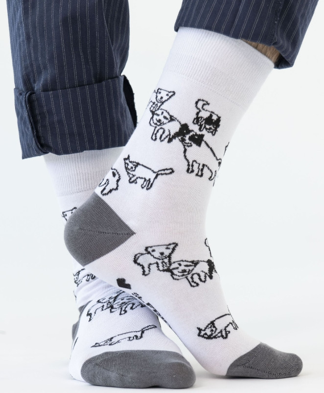 ����� ������������ ���, ���������