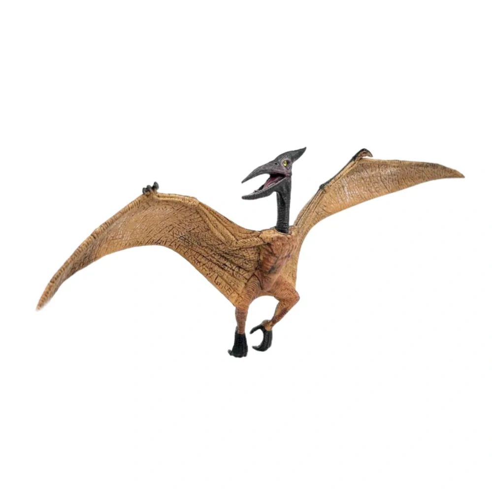 ������� ���������: ���������� (���������� / ����� / ������� / ����������) (M5015)