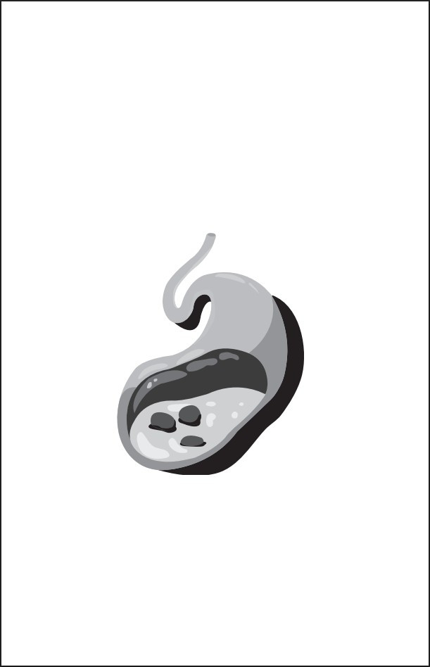 ������� ��� ���������: ������������ ����������� �� ����������� �������� ��� ������ �����, ������ � �������