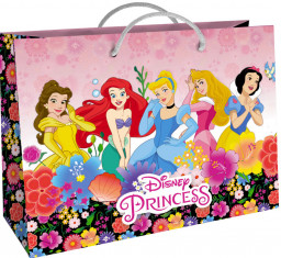 Пакет Принцессы Disney подарочный большой 5
