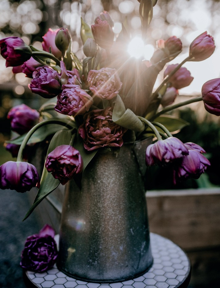 ���� ����� ������: ������������ � ������, ��������� � ��������