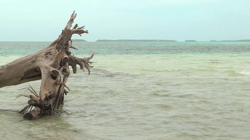   3D.      (Blu-ray 3D + 2D)