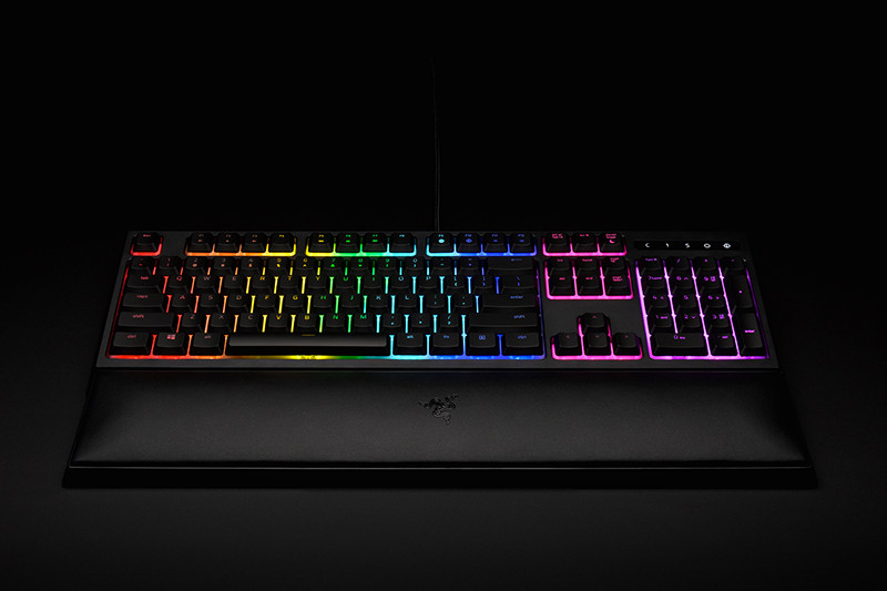  Razer Ornata Chroma   PC