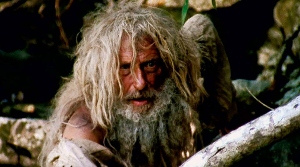 �������� ����� (������������ �������) (DVD)