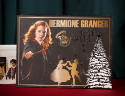   Harry Potter: Hermione Yule Ball Box